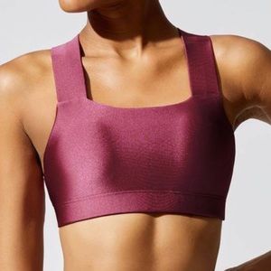 Perfect Form Push Up Crop by Running Bare